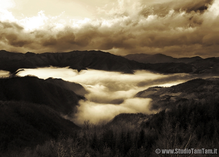 Mare di nebbia.jpg